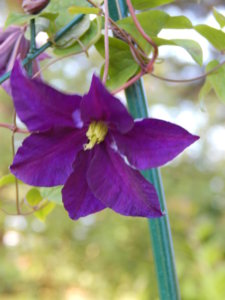 DSCN3219.JPG