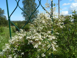 DSCN3151.JPG