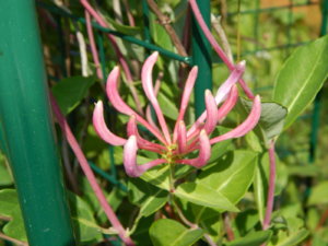 DSCN3154.JPG