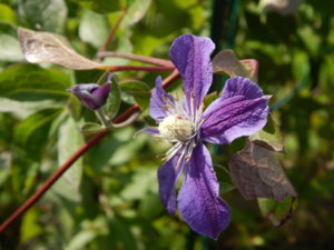 DSCN3159.JPG