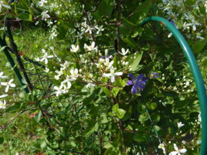 DSCN3161.JPG