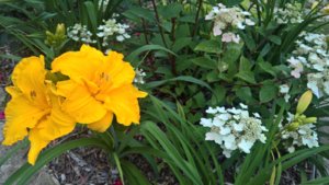 WP_20190723_14_53_43_Pro_LI.jpg