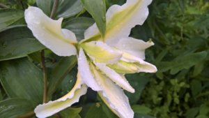 WP_20190722_13_16_36_Pro_LI.jpg