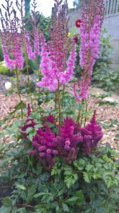 WP_20190723_14_54_20_Pro_LI.jpg