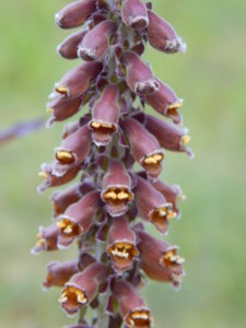 DSCN3079.JPG