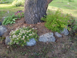 DSCN3177.JPG