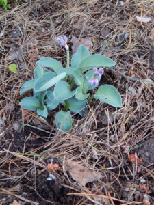 DSCN3178.JPG
