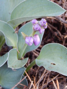 DSCN3179.JPG