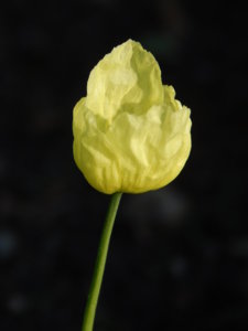 DSCN3182.JPG