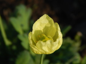 DSCN3183.JPG
