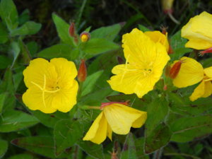 DSCN3224.JPG