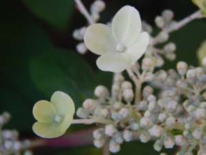 DSCN3228.JPG