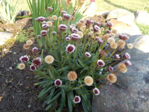 DSCN3187.JPG