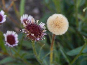 DSCN3188.JPG