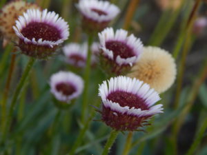 DSCN3189.JPG