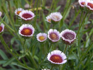 DSCN2508.JPG