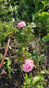 20190720_182205.jpg