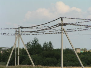 P1010071.JPG