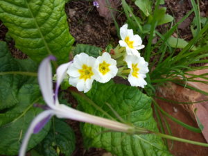 IMG_20190726_151421.jpg