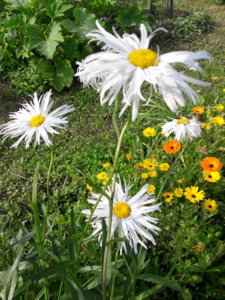 20190726_163320.jpg