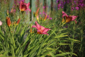 IMG_0277.JPG