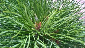 WP_20190724_11_07_28_Pro_LI.jpg