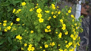 WP_20190729_15_28_46_Pro_LI.jpg