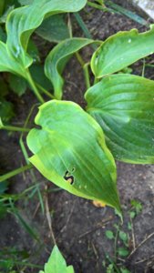 WP_20190730_13_38_46_Pro_LI.jpg