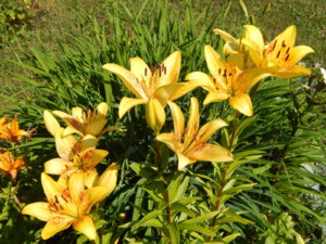 DSCN3333.JPG