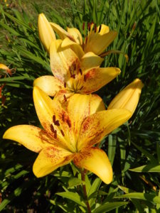 DSCN3334.JPG