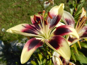 DSCN3336.JPG