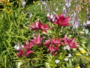 DSCN3337.JPG