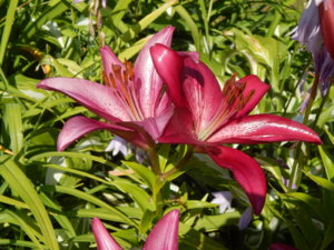 DSCN3338.JPG