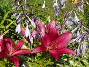 DSCN3339.JPG