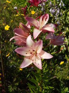 DSCN3344.JPG