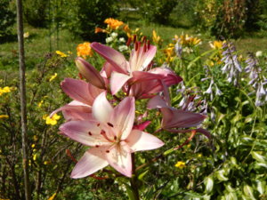 DSCN3345.JPG
