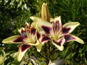 DSCN3346.JPG