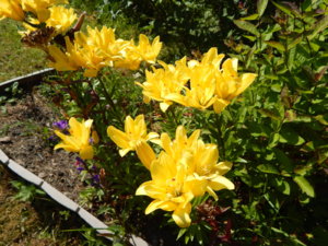 DSCN3482.JPG