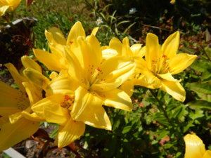 DSCN3483.JPG