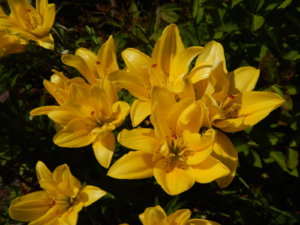 DSCN3484.JPG