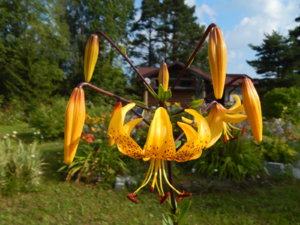 DSCN3534.JPG