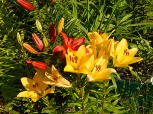 DSCN3273.JPG
