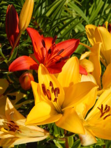DSCN3274.JPG