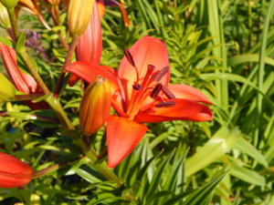DSCN3275.JPG
