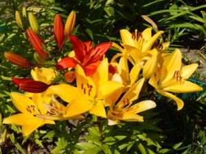 DSCN3380.JPG