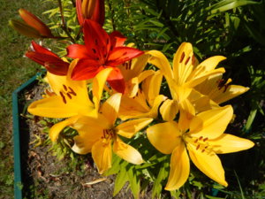 DSCN3381.JPG