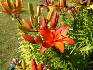 DSCN3382.JPG