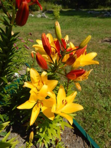 DSCN3384.JPG
