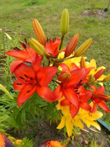 DSCN3553.JPG