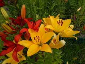 DSCN3556.JPG